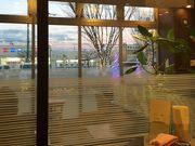 ~bVF̃hg[R[q[VbvAI[JX̓eʐ^2