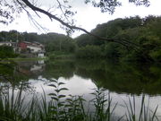 ӂ񂳂̃X^[lbg̓eʐ^3