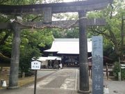 Ol|_ЁiB@lʋ{j̓eʐ^1