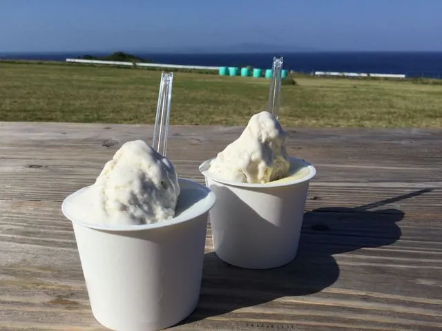 石垣島ミルミル本舗のジェラートと海の眺め