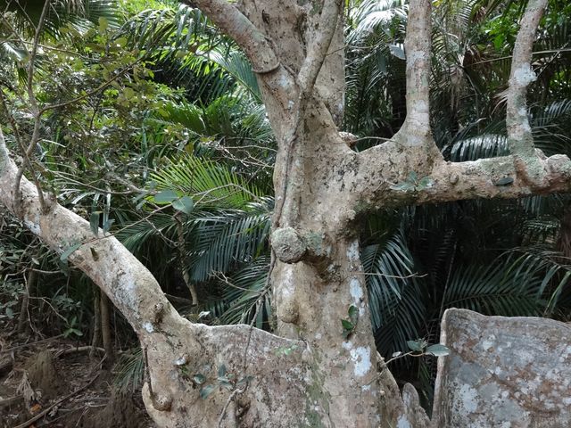 Ì̃TLV}XIE_TLV}XIEmLQ