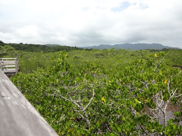 Ⴑ̃TLV}XIEmLQ̓eʐ^2