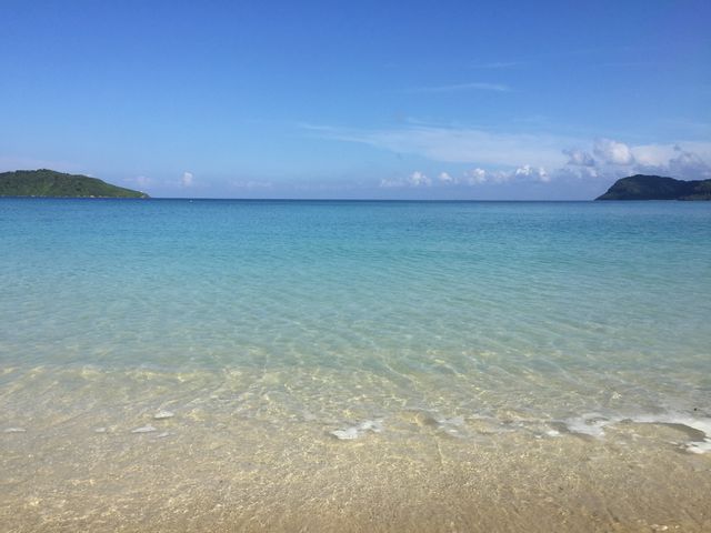 �C�_�̕l_�C�_�̕l