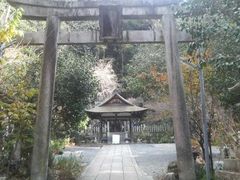 Ƃ񂳂̑L_Ђւ̓eʐ^3