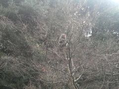 Ƃ񂳂̑L_Ђւ̓eʐ^4