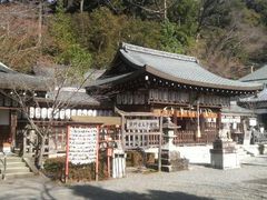 Ƃ񂳂̌Fቤq_Ђւ̓eʐ^3