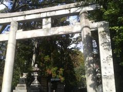 ���Ƃ��񂳂�̓��V������_�Ђւ̓��e�ʐ^1