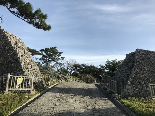 �Y�Y��Ղ̓���_�Y�Y���