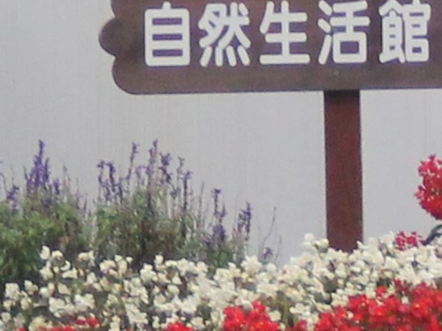 XX̓u[x[̃\tgN[_͌ΎR