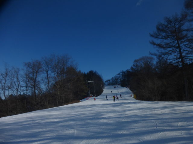 �Ꮊ���悩����_�y���v�����X�z�e���X�L�[��