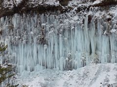 ������񂳂�̔���X���Q�ւ̓��e�ʐ^1