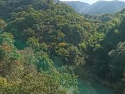 miyả_ӎ[vEFC̓eʐ^1