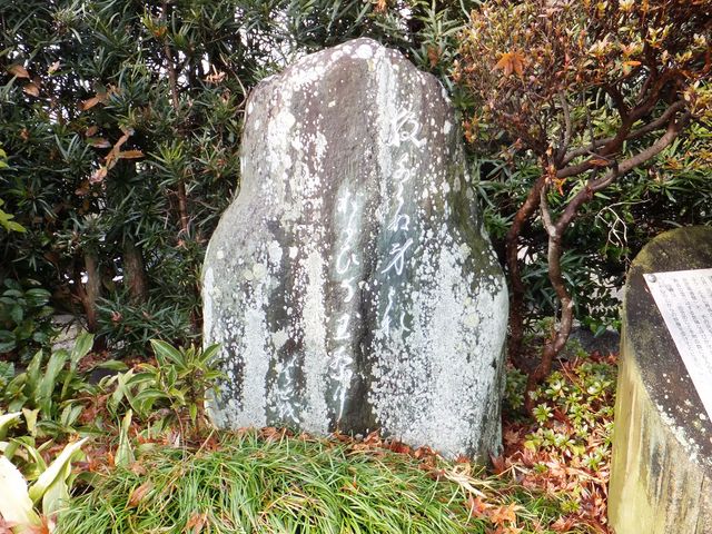 ���ڂ炳��̔m�ԋ��(�����@)�̓��e�ʐ^1