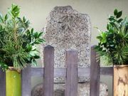 ڂ炳̔mԉ̋˂̓eʐ^1