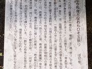 ���ڂ炳��̔m�ԋ��(�����@)�̓��e�ʐ^3