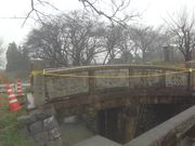 �T�r�L����̌������̓��e�ʐ^1