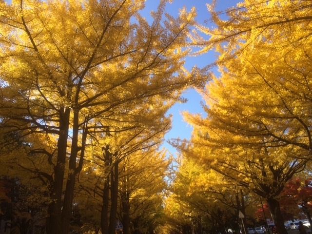 ���������؁I_�k��C�`���E����