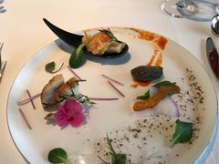 �����͂Ȃ肭�邳��̃U����C�r�A�{��ւ̓��e�ʐ^1