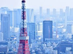 }C}C̘Z{؃qYւ̓eʐ^1