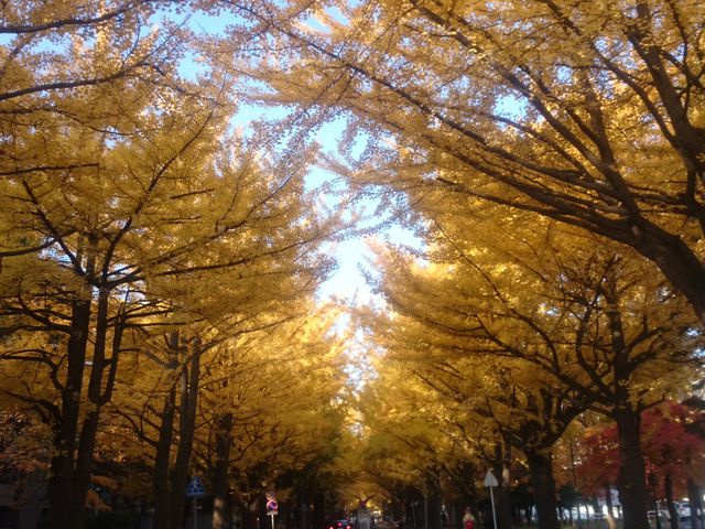 �C�`���E����_�k�C����w