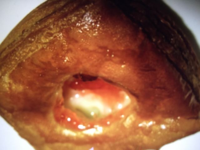 hN_boulangerie DONQ francaise {}X