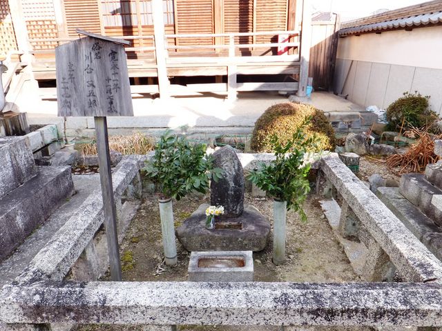 ���ڂ炳��͍̉����ܘY��̓��e�ʐ^4