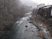 ��������񂳂�̖ؑ]��e�������̓��e�ʐ^1