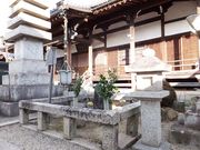 ���ڂ炳��͍̉����ܘY��̓��e�ʐ^2