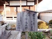 ���ڂ炳��͍̉����ܘY��̓��e�ʐ^3