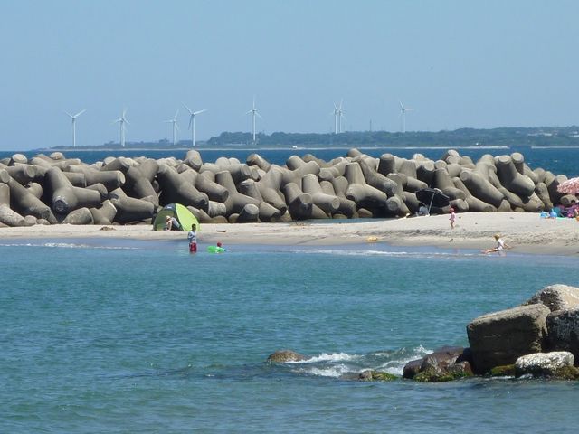 �e�g���|�b�g���g��h��_�F������C�V�r�[�`�i���F������C������j