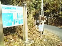 �ςς���΂ꂳ��̋ߋE���R�����i���Ɍ������쒬�j�ւ̓��e�ʐ^1