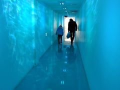 neko܂̃Vg[[@BHւ̓eʐ^2