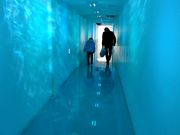 neko܂̃Vg[[@BH̓eʐ^2