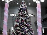 ڂ肳SS30 W]tA̓eʐ^2