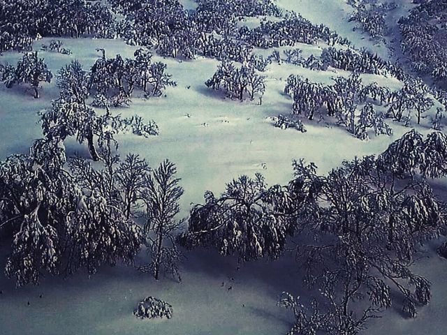 2018-01-22 PM1:00
�h���[���ŋ�B_�I���t����