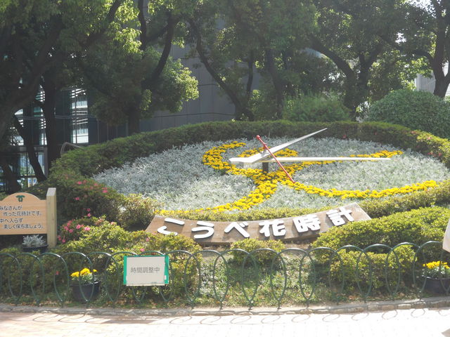 �_�ˉԎ��v_�_�ˉԎ��v