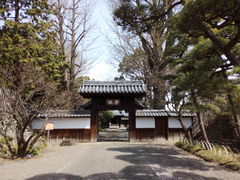 ^񂳂̑wZ@wZւ̓eʐ^1