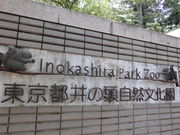 �����݂���̈�̓����R�������̓��e�ʐ^1