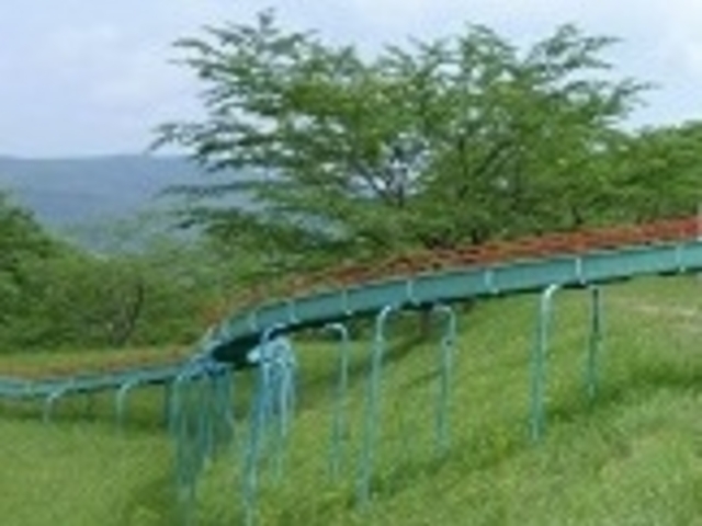 tXs[ĥӂ邳Ƃ̐X̓eʐ^1