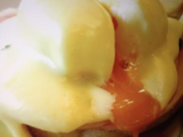 ������������_���C�����z�X�g��폊�X