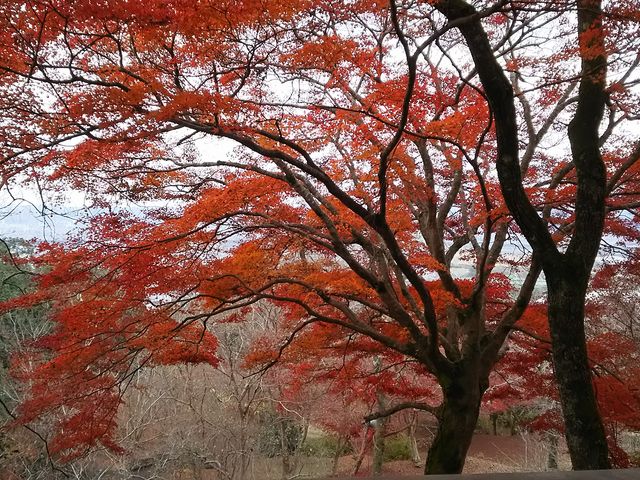 ���֎R�̍g�t_���֎R����