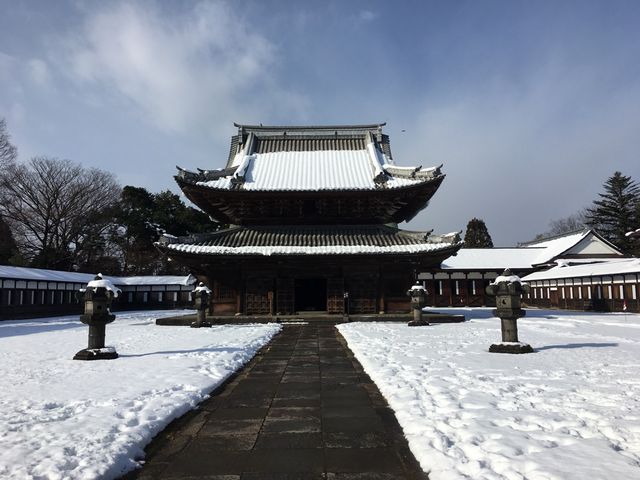 �ቻ��_������