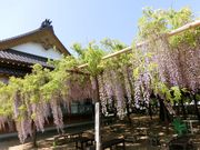 DoubleO7̏Z_̓̓eʐ^1