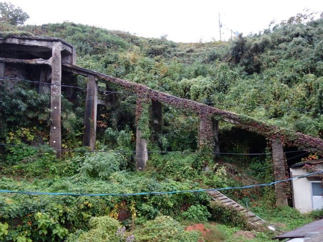 ���ꂪ���ɂȂ��ăX�L�[���t�g���ł���_���n���R���