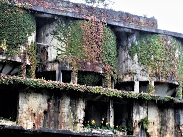 �V��̏郉�s���^���v�킹��_���n���R���