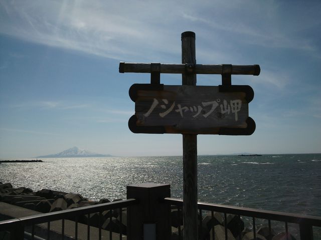 �̂������_�m�V���b�v��