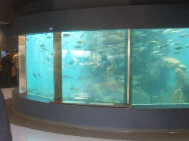 ���l�����ق̒������ɂ���傫�Ȑ����ł��B_���唒�l������