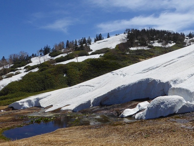 �ʉ_���E��������E�t�G_�ʉ_��