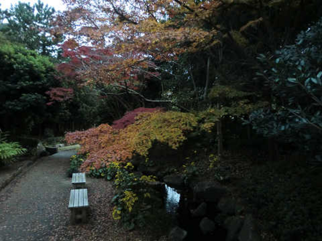 �g�t���Y��ł��B_���l��