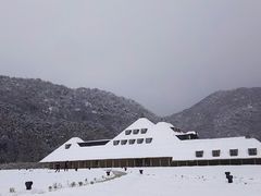 XĩR[i ߍ]ւ̓eʐ^1